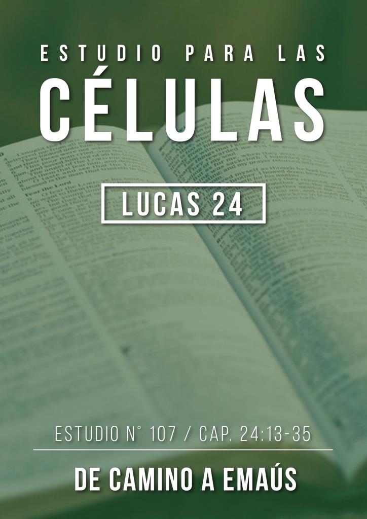 Estudio 107 Capítulo 24:13-35